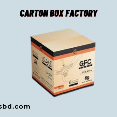 Fan Carton Box custom Packaging